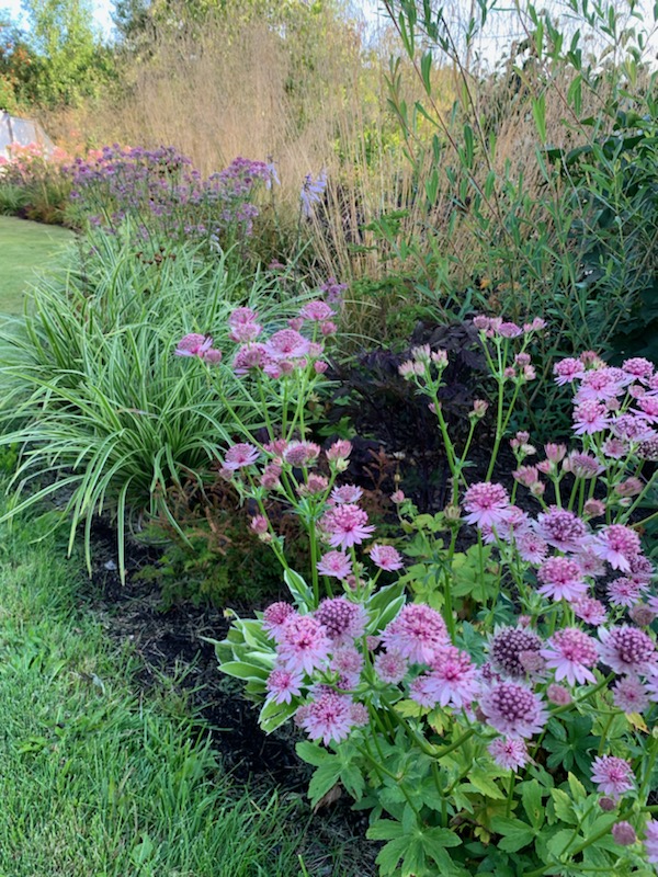 2 år efter design och plantering