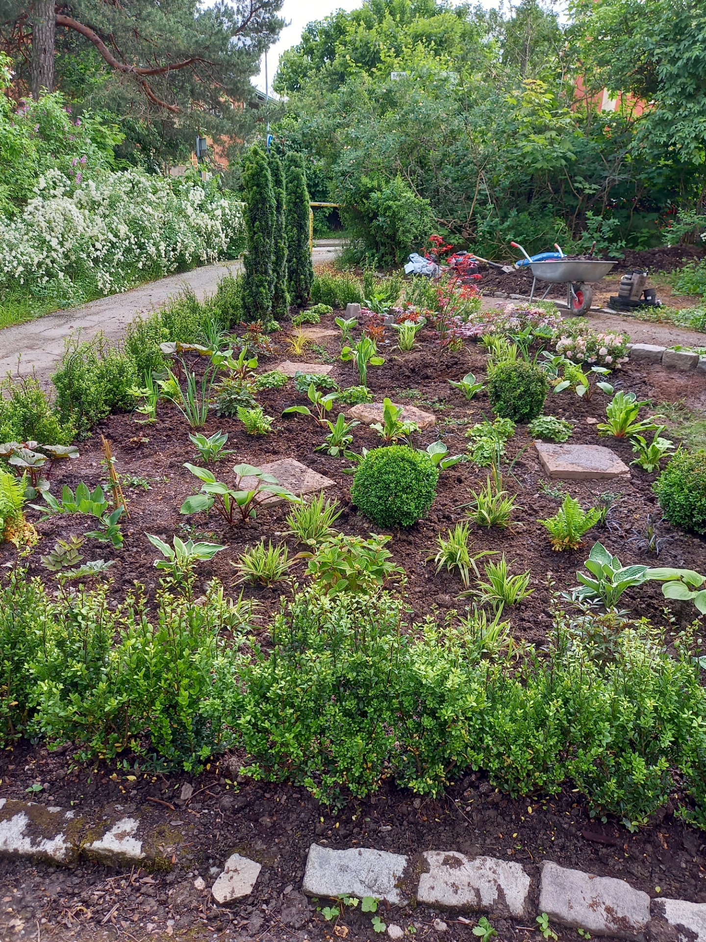 Plantering av woodland